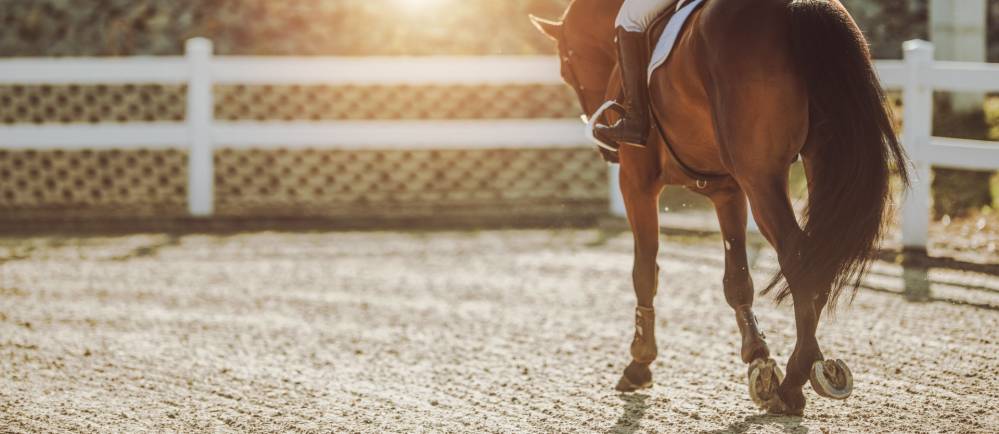 Stage équitation expert à Éguilles