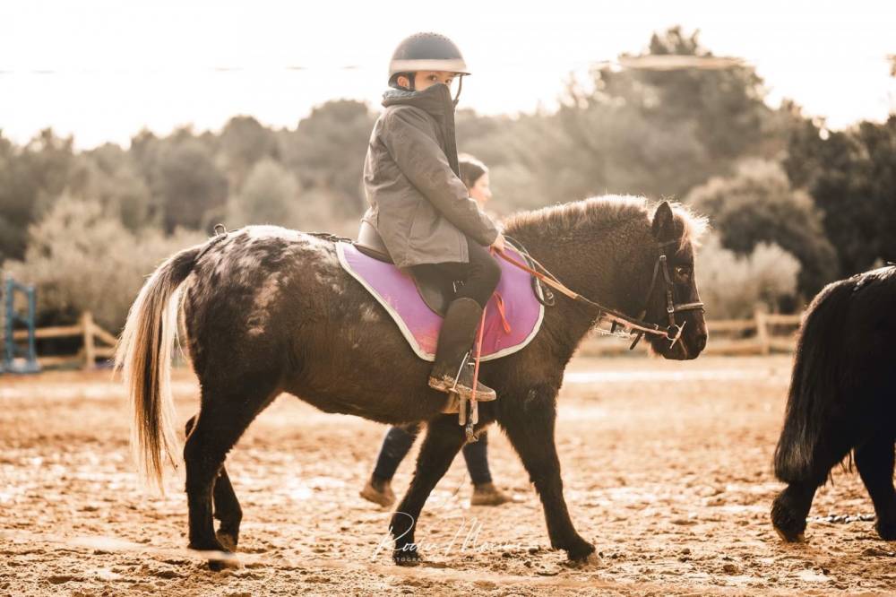 Stage équitation débutant à Éguilles