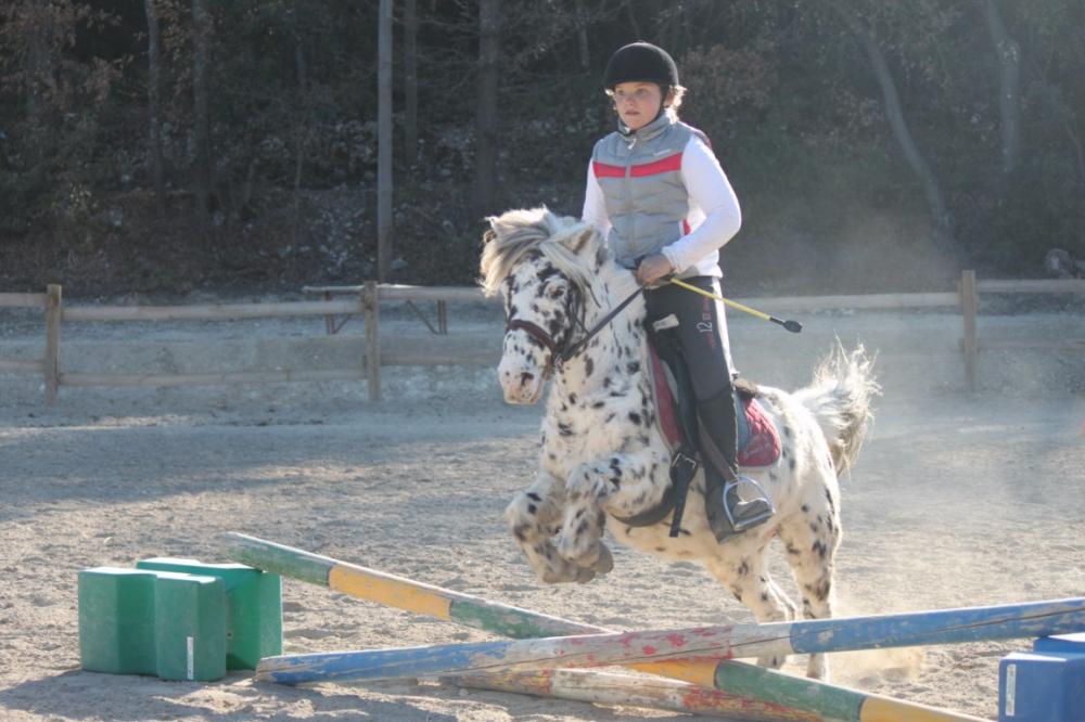 Cours de poney à Éguilles