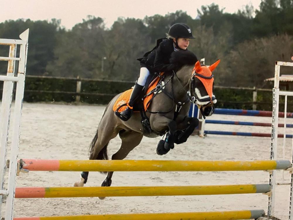 concours-poney
