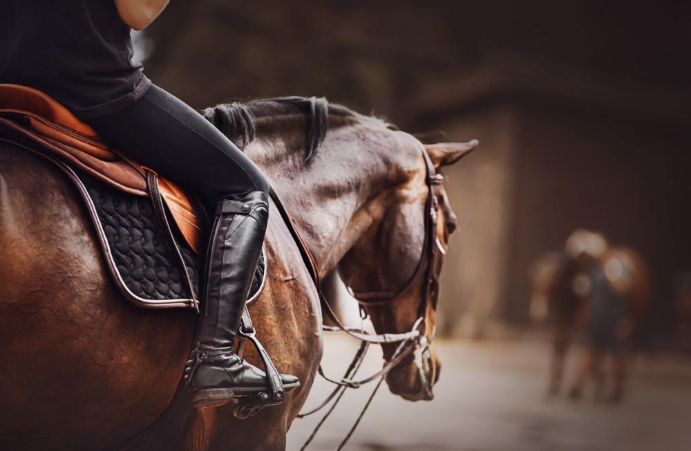 Cours équitation à Éguilles