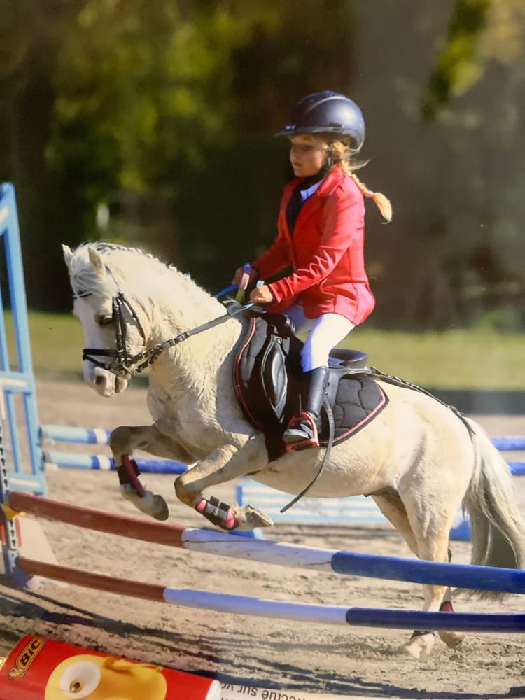 concours-obstacle-poney