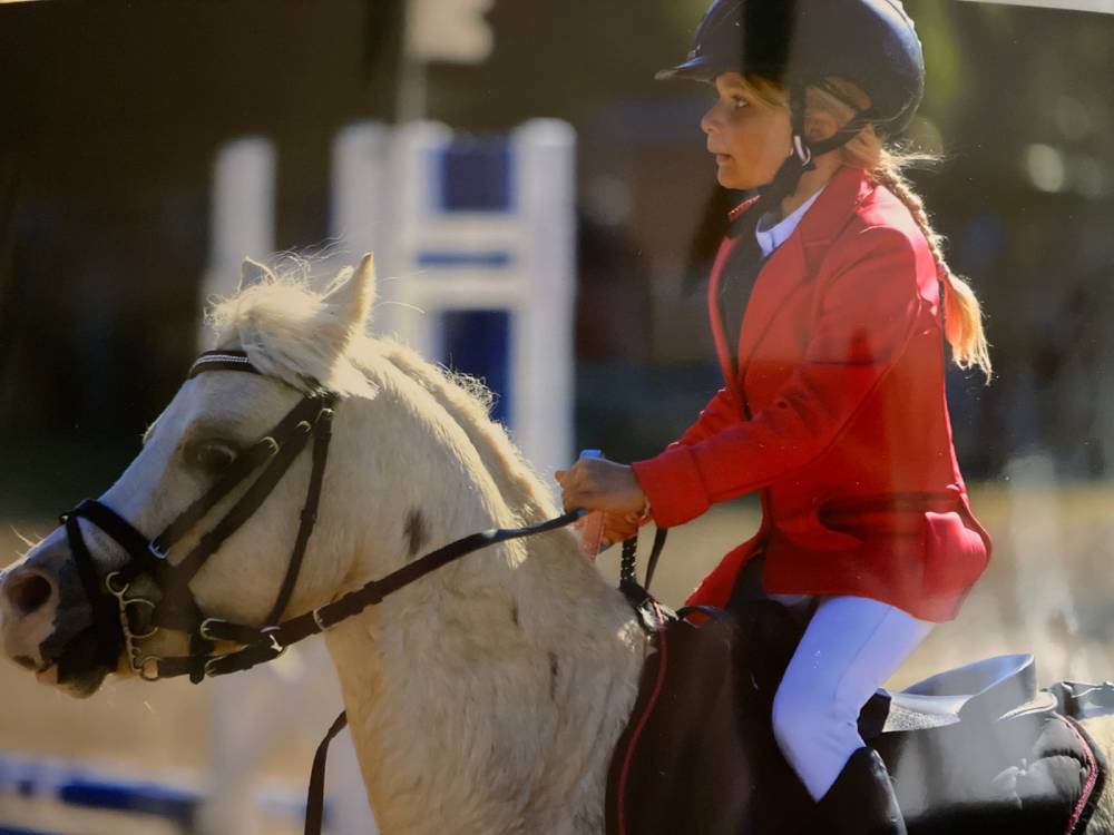 concours-poney-gris