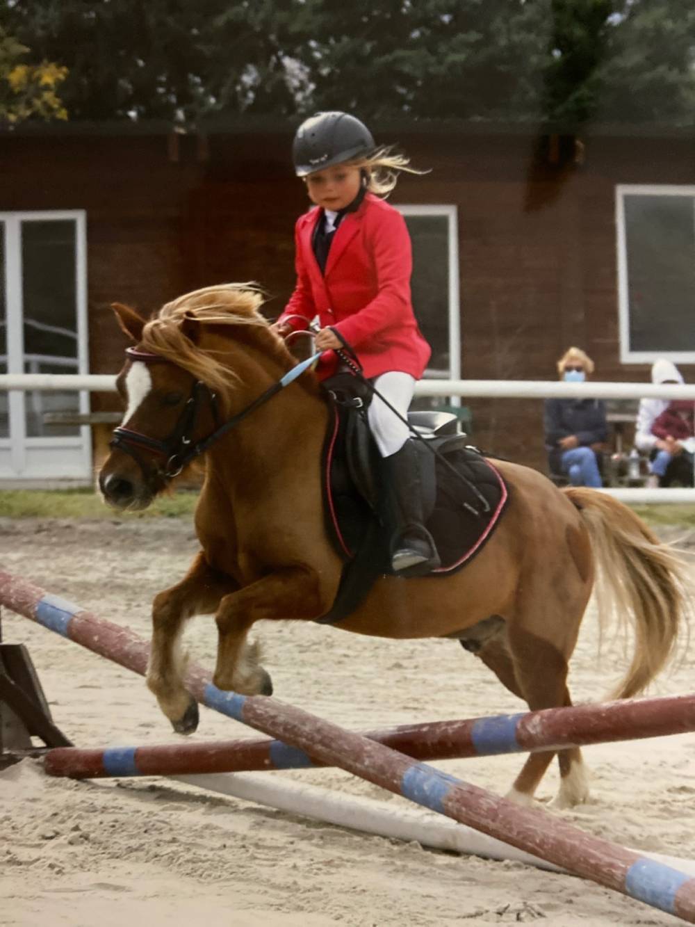 concours-poney