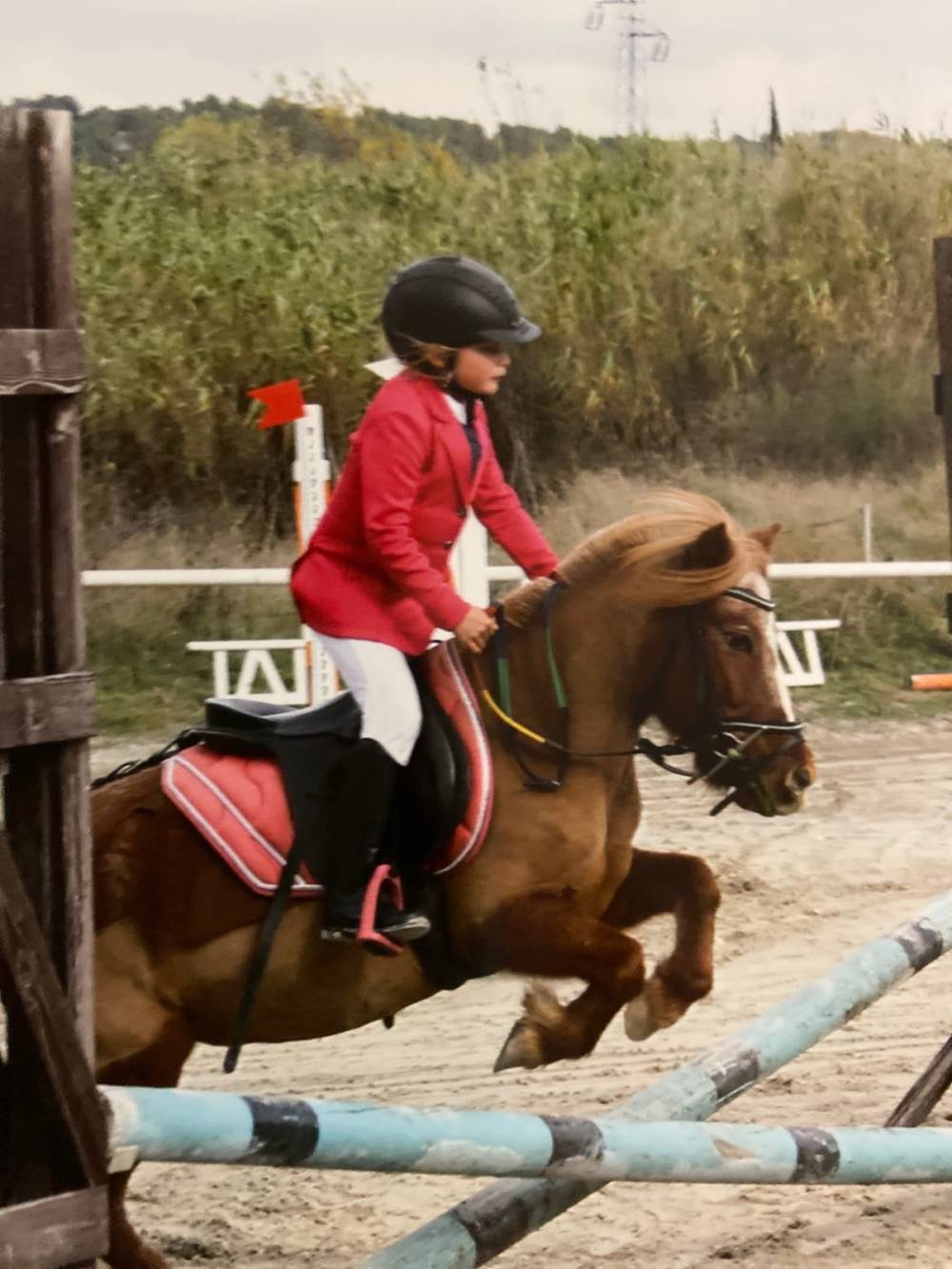 concours-saut-poney