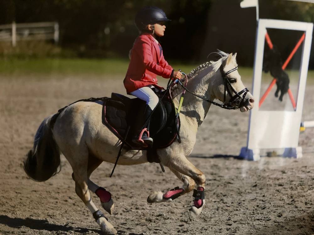 Éole équitation à Éguilles