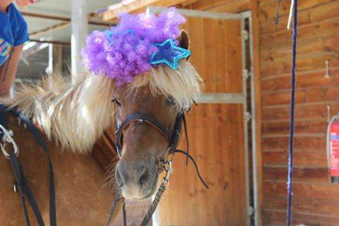 poney-clown